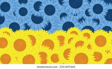 National flag of Ukraine made with yellow and blue sunflowers