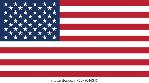 National flag of USA vector image