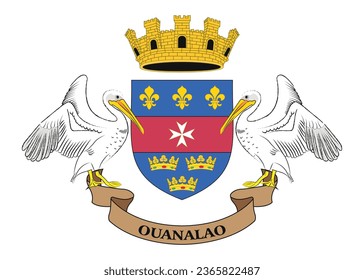 National flag vector illustration of Saint Barthelemy.