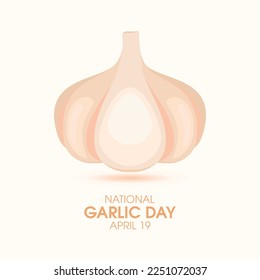 National Garlic Day vector. Fresh whole garlic bulb icon vector. April 19 each year. Important day