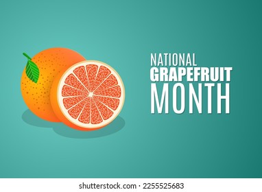 National grapefruit month vector illustration, suitable for web banner poster or card