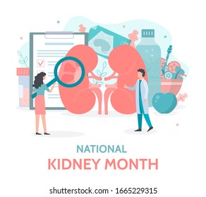 National Kidney Month. Doctors check the health of the kidneys. Urine analysis and kidney ultrasound. Medical concept. Flat vector illustration.