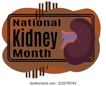 National Kidney Month, idea for a poster, banner, flyer or postcard on a medical theme vector illustration