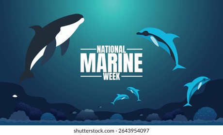 National Marine Week, Celebrating Our Oceans and Marine Life
