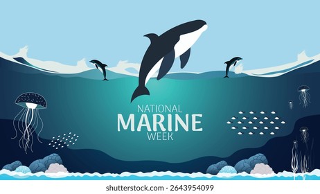 National Marine Week, Celebrating Our Oceans and Marine Life