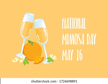 National Mimosa Day vector. Glasses of champagne with orange icon vector. Mimosa celebratory toast vector. Mixed drink with orange juice. Mimosa Day Poster, May 16. Important day