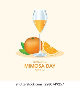 National Mimosa Day vector illustration. Mimosa cocktail with oranges icon set vector. Champagne flute with orange juice drawing. May 16 every year. Important day