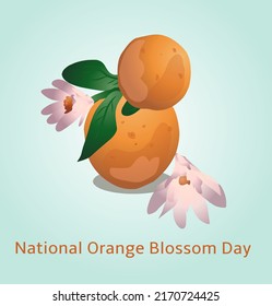 National Orange Blossom Day vector cartoon greeting card, illustration with orange on a branch with blooming flowers. June 27.