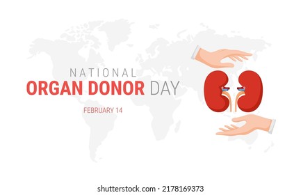 National Organ Donor Day With Kidneys