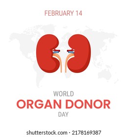 National Organ Donor Day With Kidneys