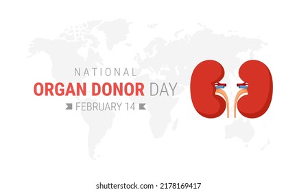 National Organ Donor Day With Kidneys