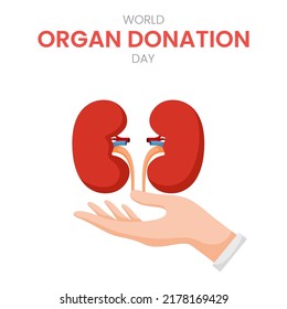 National Organ Donor Day With Kidneys