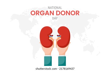 National Organ Donor Day With Kidneys