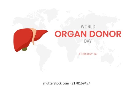 National organ donor day with Liver