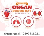 National Organ Donor Day Vector Illustration on 14 February with Kidneys, Heart, Lungs or Liver for Transplantation and Healthcare in Flat Background
