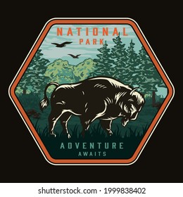 National park colorful vintage badge with bison flying birds grass and trees isolated vector illustration