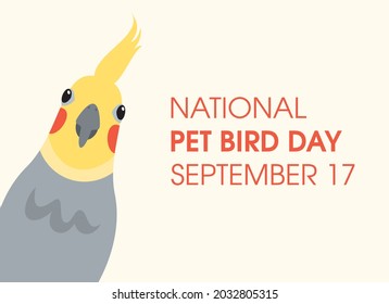 National Pet Bird Day vector. Cute cockatiel parrot front view vector. Pet Bird Day Poster, September 17. Important day