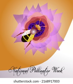 National Pollinator Week 20-26 June