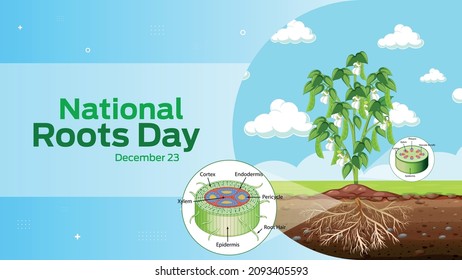 National Roots Day on december 23 business brochure flyer banner design horizontal template vector, cover presentation abstract, modern publication poster and flag-banner.