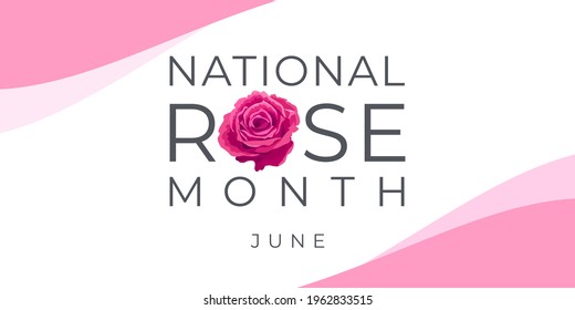 National Rose Month. Vector Banner, Illustration For Social Media, Card, Poster. Text And Rose On A White, Pink Background.