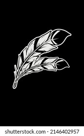 Native American Feather Black Background
