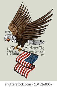 native eagle american. wild bird. old label and badge. engraved hand drawn in old sketch. USA symbol, flag of patriot.
