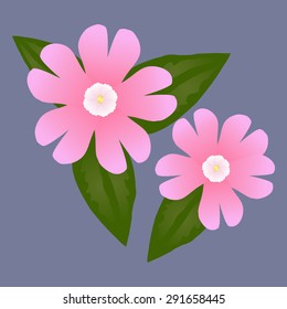A Native European flower
