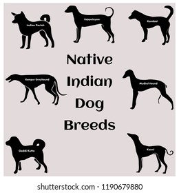 Native Indian Dog Breeds Stock Vector (Royalty Free) 1190679880 ...