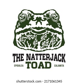 Natterjack toad face vector illustration in hand drawn style, perfect for tshirt design and mascot logo