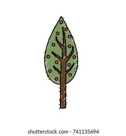 natual and ecological tree with branches plant