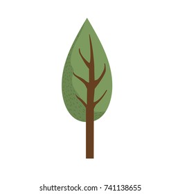 natual and ecological tree with branches plant