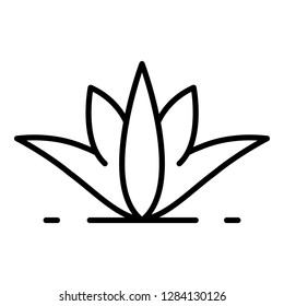 Natural aloe vera icon. Outline natural aloe vera vector icon for web design isolated on white background