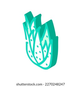 natural aloe vera isometric icon vector. natural aloe vera sign. isolated symbol illustration