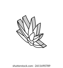 natural aloe vera isometric icon vector. natural aloe vera sign. isolated symbol illustration
