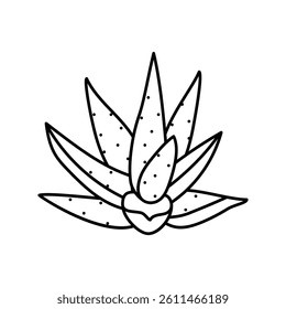 natural aloe vera line icon vector. natural aloe vera sign. isolated contour symbol black illustration