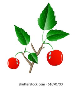 Natural apple on stick