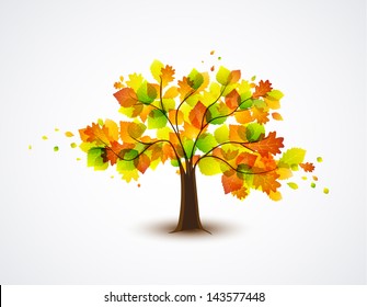 natural autumn tree with colorful leaves