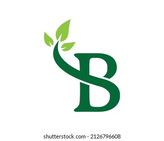 Plantilla de logotipo natural B verde.Icono de vector de letra B creativa y moderna de hoja.