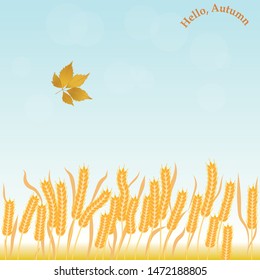 Natural backdrop. Ears of ripe wheat, yellow leaf - light background - illustration, vector. Harvesting. Environment