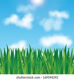 natural background.eco background.green grass with dew drops on a background of blue sky.vector 