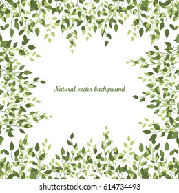 Natural Background Of Birch Leaves. Birch Leaves On A White Background. Vector Illustration