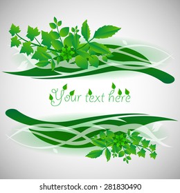 Diseño de fondo natural con hojas