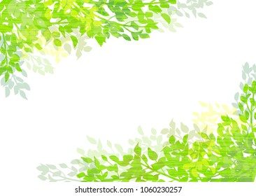 Natural background of fresh green