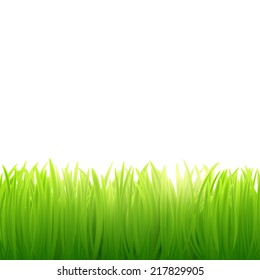natural background of grass on white background