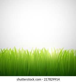 natural background of grass on white background