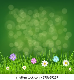 Natural background with green grass and multicolored flowers