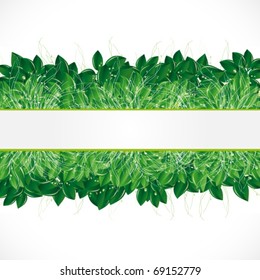 Natural background with green leaves, grass and dew.