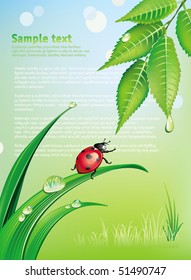 Natural background with ladybird