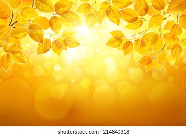 Natural background with leaves and bright sunlight. Vector illustration EPS10, transparency