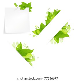 Natural Background With Leaves And Drops Set, Isolated On White Background, Vector Illustration